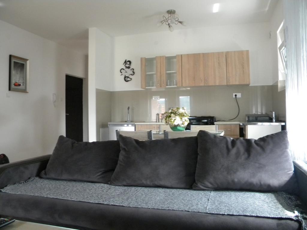 Apartment Srebrni Oblak Аранделовац Экстерьер фото